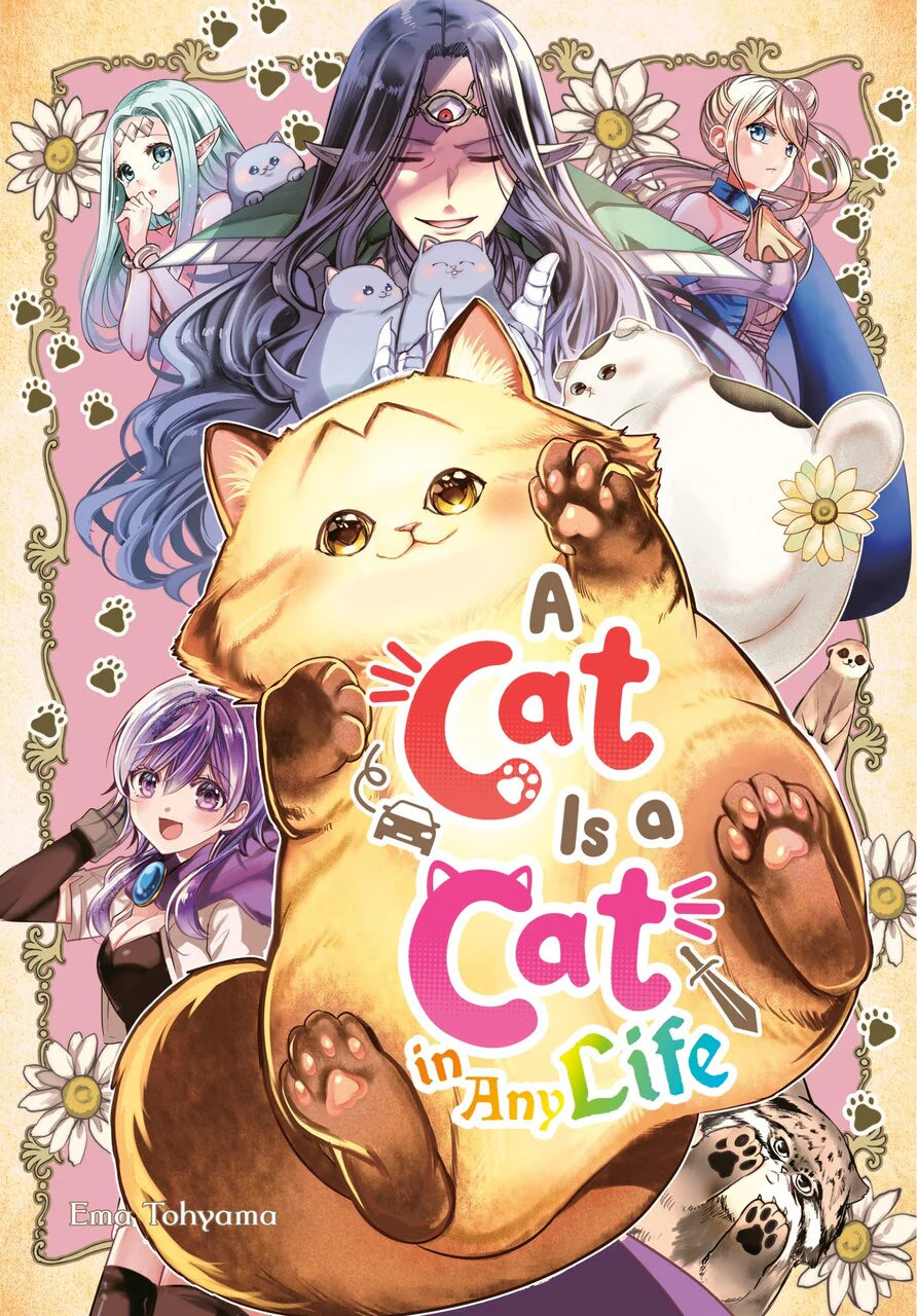 A Cat Is a Cat in Any Life [English Edition]