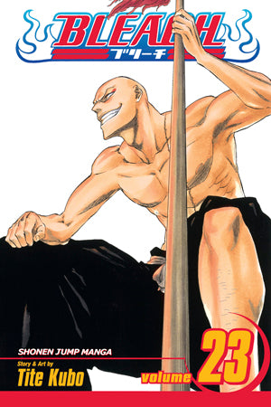 Bleach 23 [English Edition]