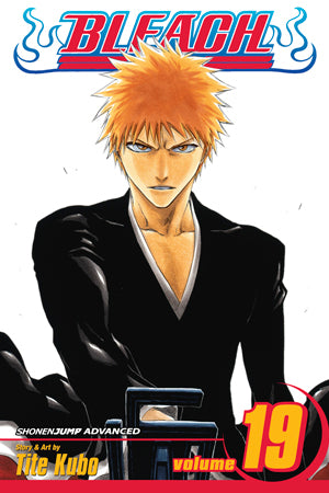 Bleach 19 [English Edition]