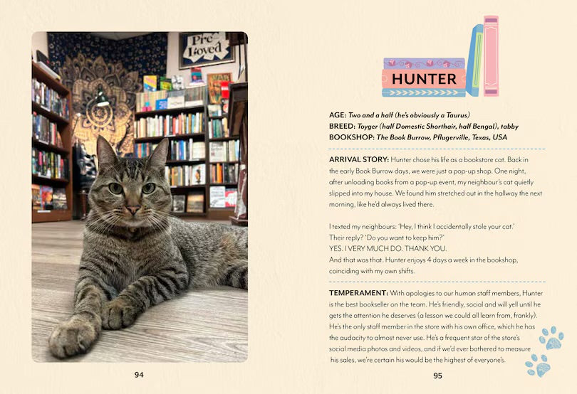 Bookshop Cats