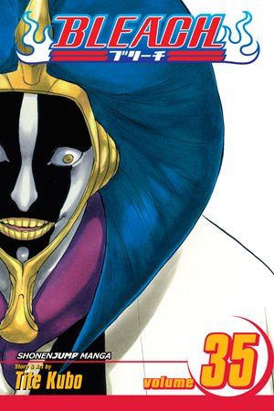 Bleach 35 [English Edition]