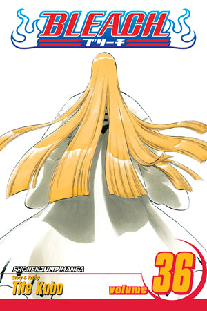 Bleach 36 [English Edition]