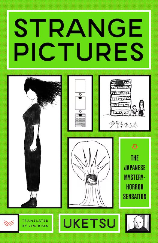 Strange Pictures: A Novel