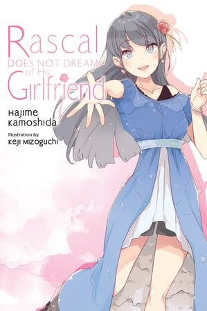 Rascal Does Not Dream of His Girlfriend (light novel) [English Edition]