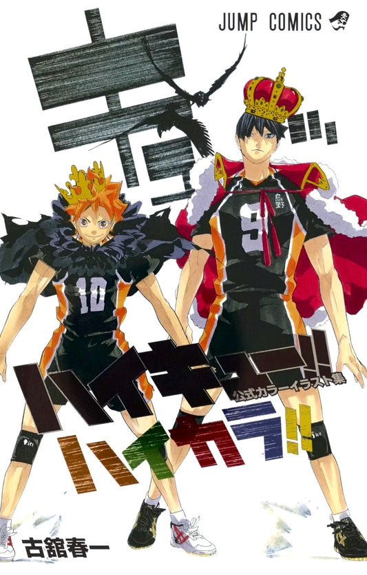 HaiColor!!: Haikyu!! Color Illustration Collection