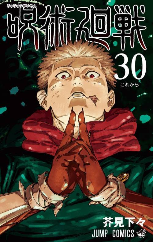 Jujutsu Kaisen 30 [Japanese Edition]