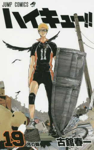 Haikyu!! 19 [Japanese Edition]