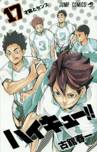 Haikyu!! 17 [Japanese Edition]