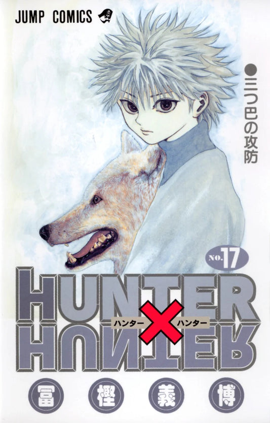 HUNTER X HUNTER 17 [Japanese Edition]
