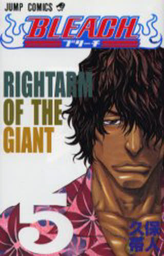 Bleach 05 [Japanese Edition]