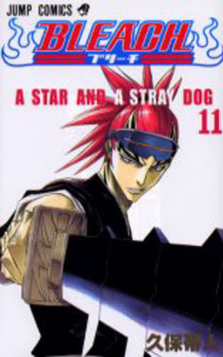 Bleach 11 [Japanese Edition]