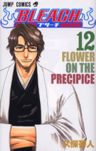 Bleach 12 [Japanese Edition]