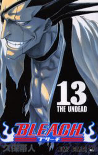 Bleach 13 [Japanese Edition]