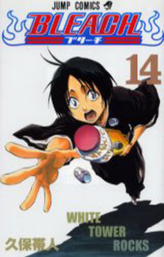 Bleach 14 [Japanese Edition]