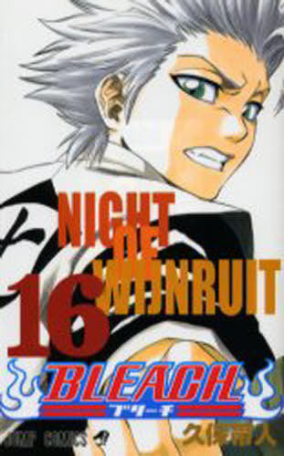 Bleach 16 [Japanese Edition]