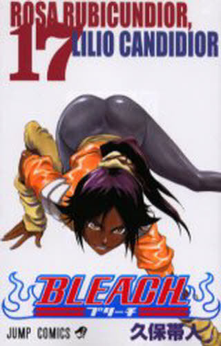 Bleach 17 [Japanese Edition]