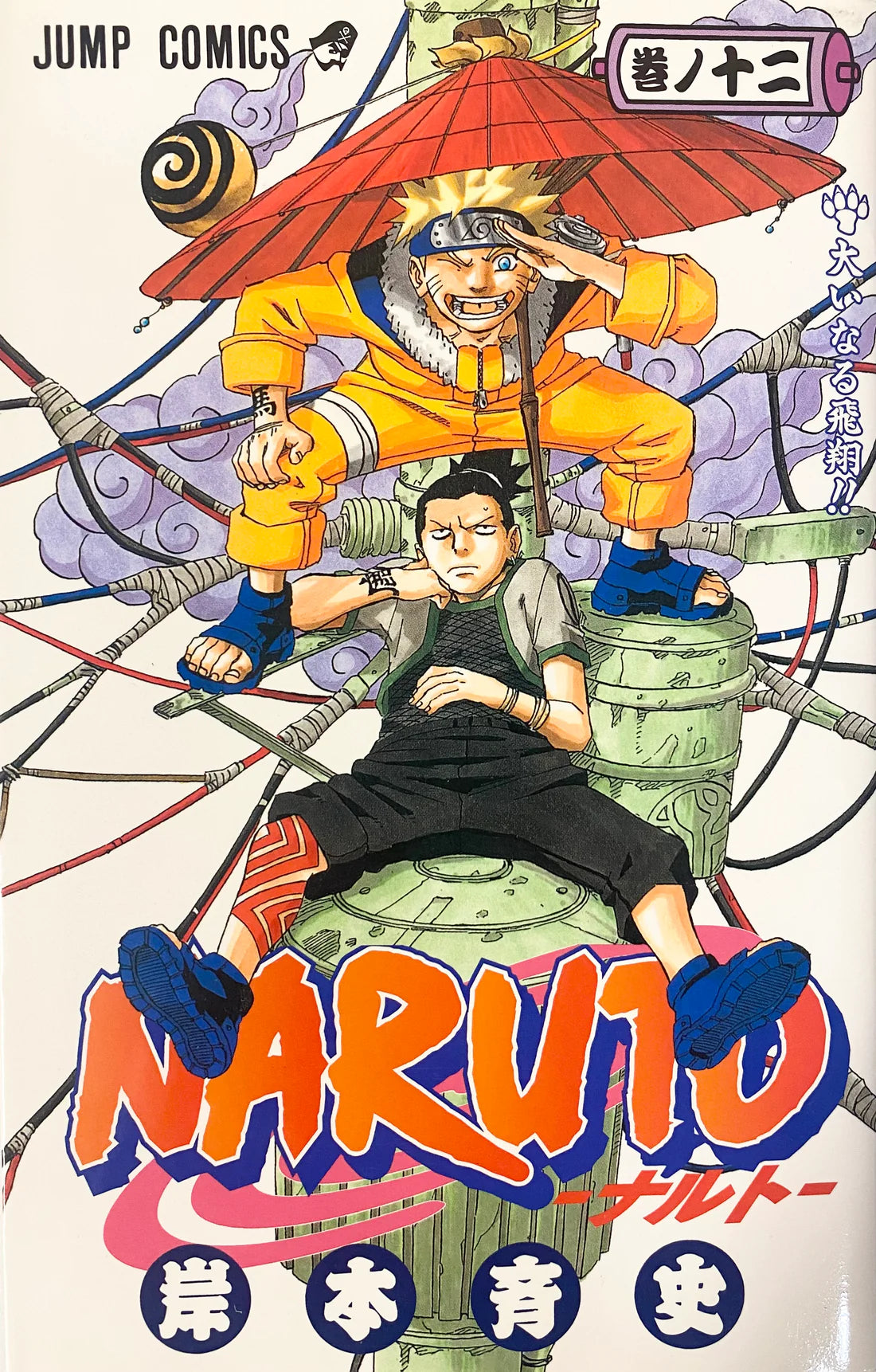 Naruto 12 [Japanese Edition]