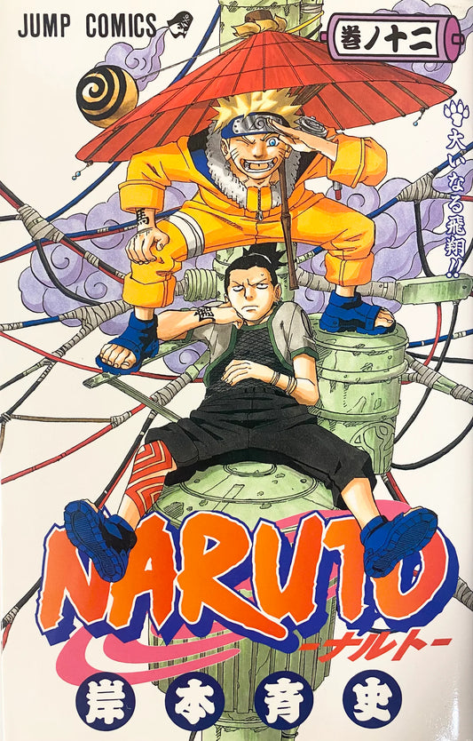 Naruto 12 [Japanese Edition]