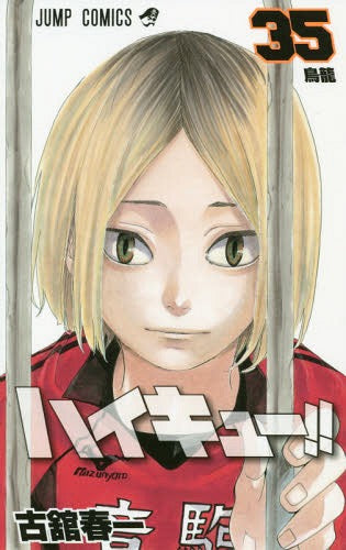 Haikyu!! 35 [Japanese Edition]