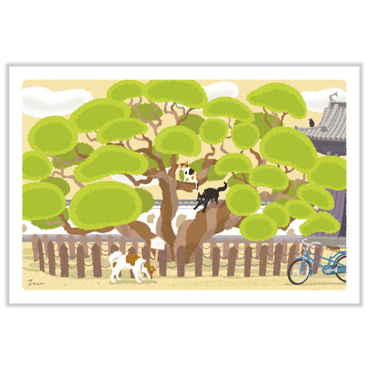 [Moritori Toshinori] Tabineko Postcard - Manmaru Tree (Spring)