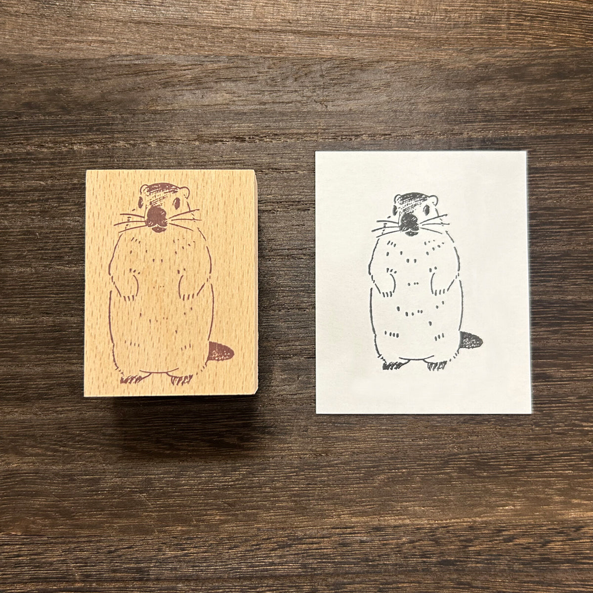 Alte Wood Stamp - Groundhog