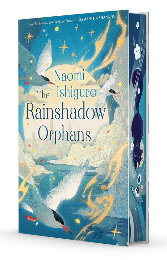 The Rainshadow Orphans (The Rainshadow Series Book 1)