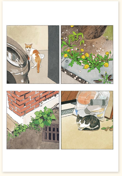 [Banzisu] BZ33 Postcard - Wild Grass and Stray Cats