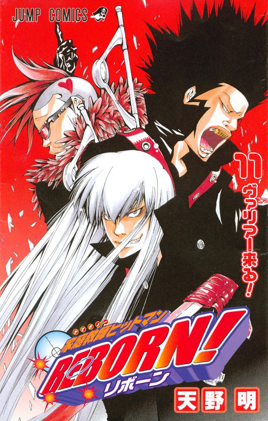 Katekyo Hitman Reborn! 11 [Japanese Edition]